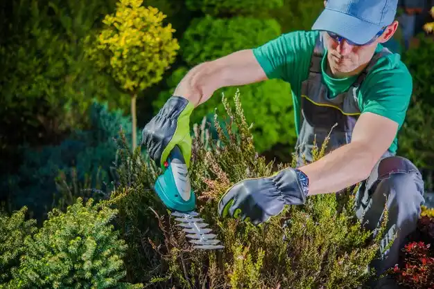 landscaping services Elkhorn City